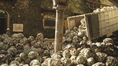 Ford και Jose Cuervo συνεργάζονται στην Παραγωγή Εξαρτημάτων Αυτοκινήτων  