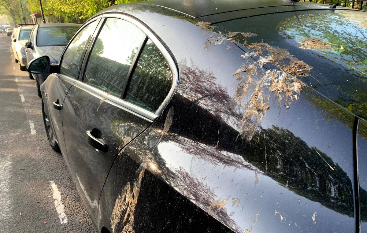 Πώς οι τεχνητές κουτσουλιές της Ford προστατεύουν το χρώμα του αυτοκινήτου σας σε πραγματικές συνθήκες