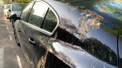 Πώς οι τεχνητές κουτσουλιές της Ford προστατεύουν το χρώμα του αυτοκινήτου σας σε πραγματικές συνθήκες