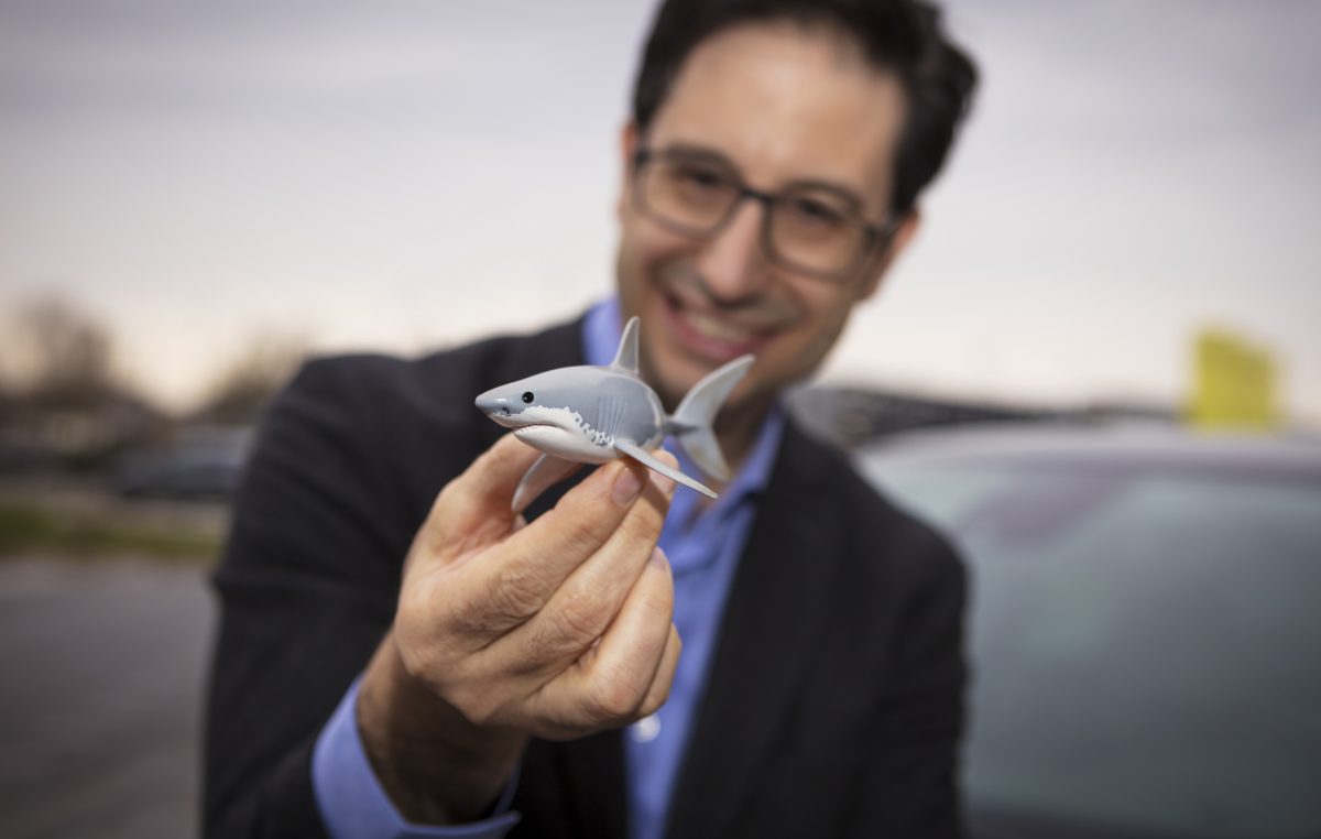 ΠΩΣ ΟΙ ΚΑΡΧΑΡΙΕΣ ΕΜΠΝΕΟΥΝ ΤΗΝ OPEL